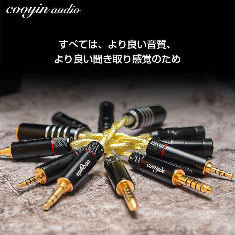 cooyin Litz Wire 変換ケーブル 12cm